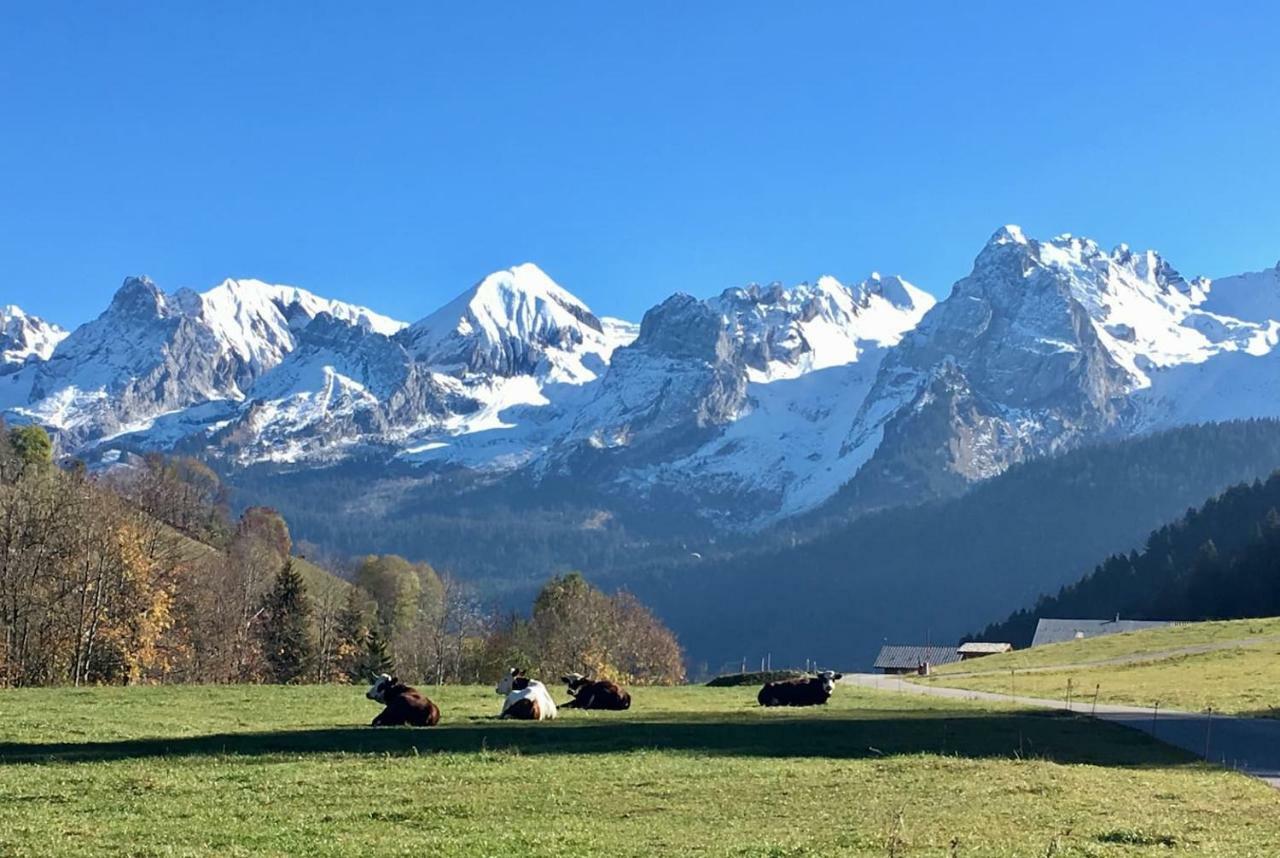 Bel Appartement Avec Vue Exceptionnelle Le Grand-Bornand Eksteriør bilde